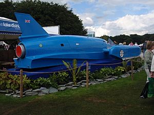 Aa Bluebird replica Tattonflowershow2009