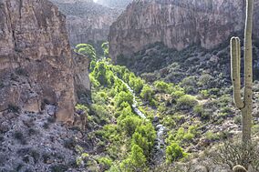 Aravaipa Canyon Wilderness (15224785109).jpg