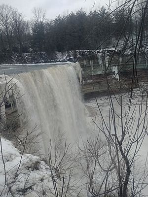 Balls Falls, Onario 2019 Winter