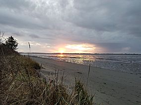 Bottle Beach sunset.jpg