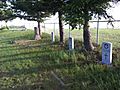 Camp Hughes Cemetery Headstones