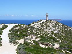 Cape Spencer lighthouse