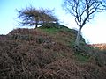 Cat Craig at Ladyland's Castle Hill