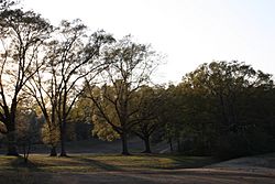 Chastain Park, Atlanta.jpg