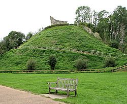 Clare Castle Motte.jpg