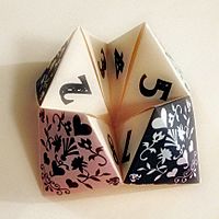 Cootie catcher