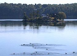 Cove on Wellesley Island in northwestern New York