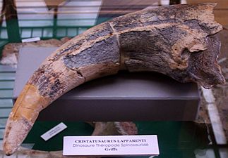 Cristatusaurus claw