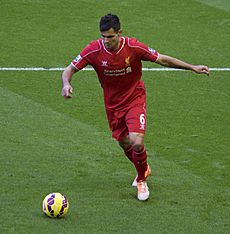 Dejan Lovren cropped