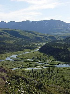 Delta River AK.jpg