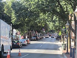 Downtown view of Frederick, MD IMG 4699