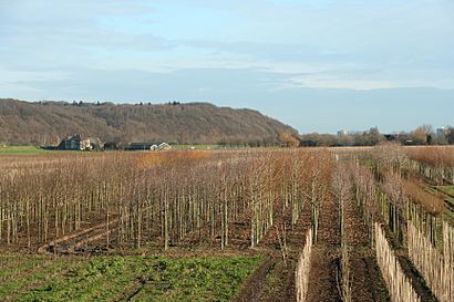 Grebbeberg the Netherlands