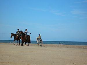 Horses on Holkham beach - geograph.org.uk - 543980