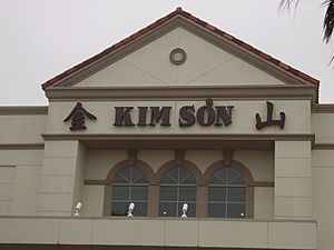 KimSonHoustonChinatown