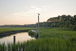 KiptopekeWater