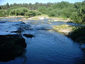 Las cascadas.jpg