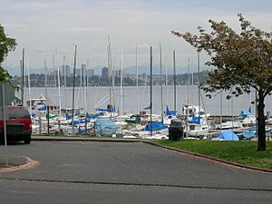 Leschi marina 05