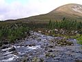 Luibegburn robbers copse