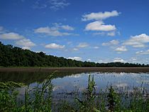 Meeman-Shelby Forest State Park Shelby County TN 2013-06-02 003