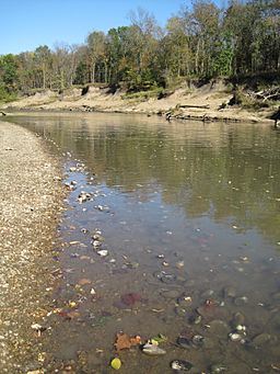 Mussel Bed Loaded with Mussels on the Bank of the Marais des Cygnes River (6473802979).jpg