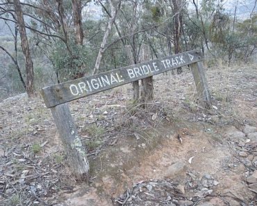 Old Bridle Track.jpg