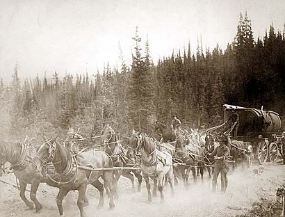 Overland Trail horse team.jpg