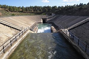 Presa de Los Anguijes