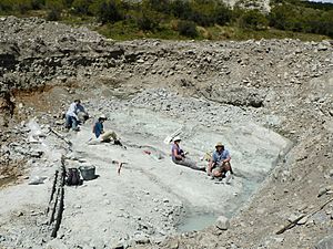 Quarrying Bannockburn THW 2014