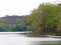 RadnorLakeApril2007.jpg