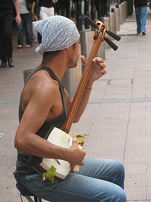 ShamisenBuskerPittStreetSydney