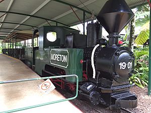 Steam train at The Ginger Factory, Yandina, Qld