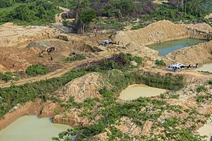 Terra Indígena Kayapó, Pará (41216119920)