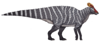 Tlatolophus.png