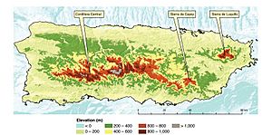 Topography of the Commonwealth of Puerto Rico by USDA