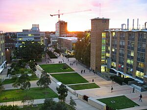 UNSW lower campus