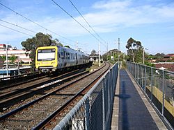 WaverleyRailTrail-WarrigalRdBridge.jpg