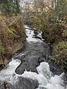 Whatcom Creek lower falls