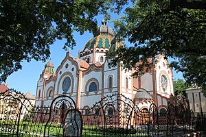 Wiki.Vojvodina VII Subotica 4599 18