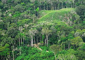 Índios isolados no Acre 5