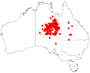 Acacia georginaeDistMap382.png