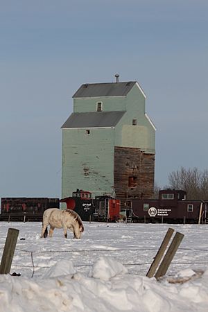 Alberta Central Railway Museum.JPG