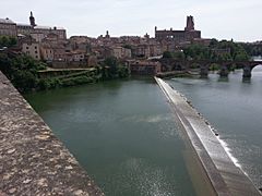 Albi, cathédrale Sainte Cécile, Tarn et pont Vieux.