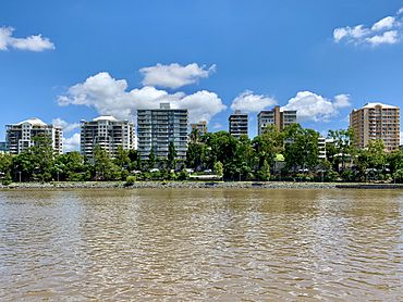 Auchenflower seen from the river, Brisbane, Feb 2020.jpg