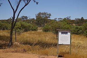 Avondale ag rs gnangarra 05