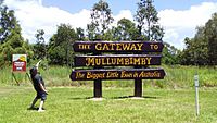 BigThingsMullumbimby.jpg