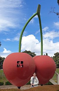 Big cherry latrobe.jpg