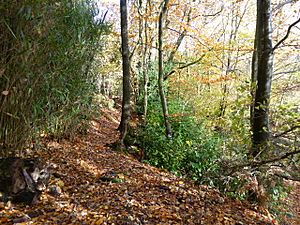 Brook Brick Pit 2.jpg