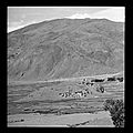 Burial Mound of Songtsen Gampo