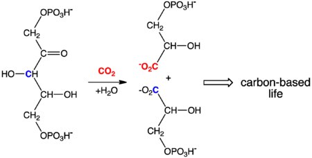 CO2Fixn