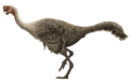 Citipati osmolskae Restoration